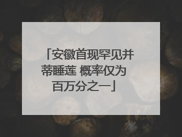 安徽首现罕见并蒂睡莲 概率仅为百万分之一