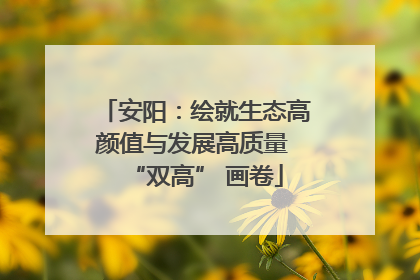 安阳：绘就生态高颜值与发展高质量 “双高” 画卷