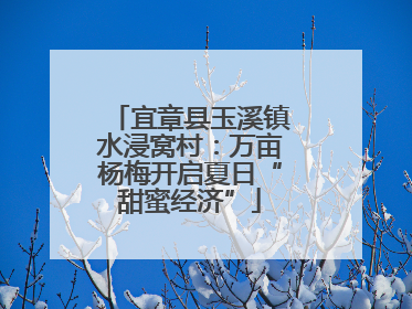 宜章县玉溪镇水浸窝村：万亩杨梅开启夏日“甜蜜经济”