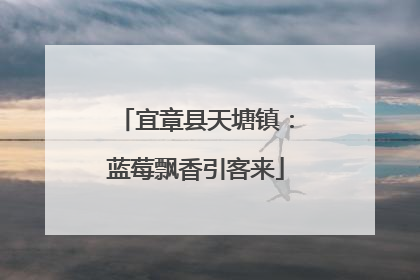 宜章县天塘镇：蓝莓飘香引客来