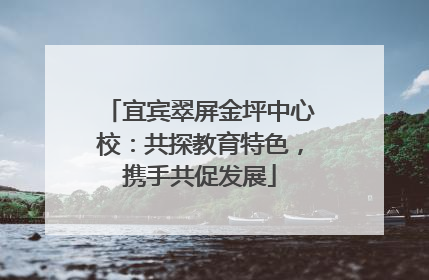 宜宾翠屏金坪中心校：共探教育特色，携手共促发展