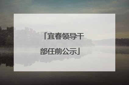 宜春领导干部任前公示