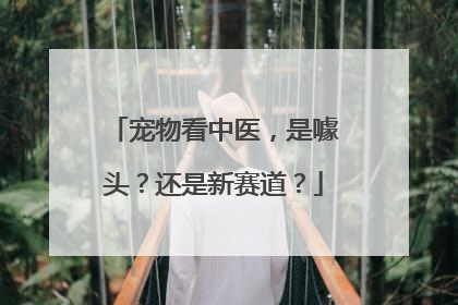 宠物看中医，是噱头？还是新赛道？