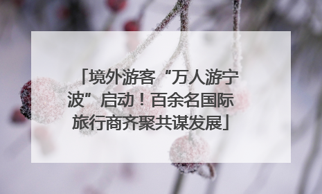 境外游客“万人游宁波”启动！百余名国际旅行商齐聚共谋发展