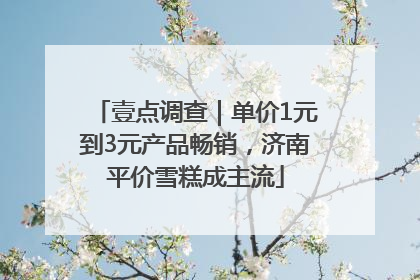 壹点调查｜单价1元到3元产品畅销，济南平价雪糕成主流