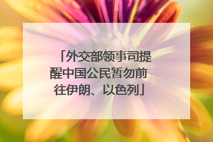 外交部领事司提醒中国公民暂勿前往伊朗、以色列