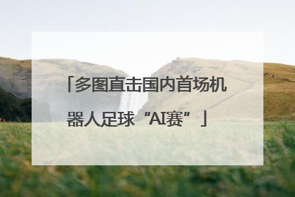 多图直击国内首场机器人足球“AI赛”