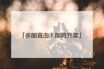 多图直击！即将开桨