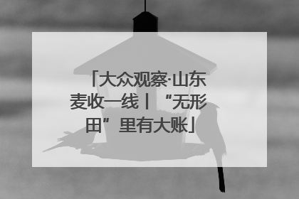 大众观察·山东麦收一线丨“无形田”里有大账
