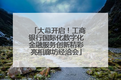 大幕开启！工商银行国际化数字化金融服务创新精彩亮相廊坊经洽会