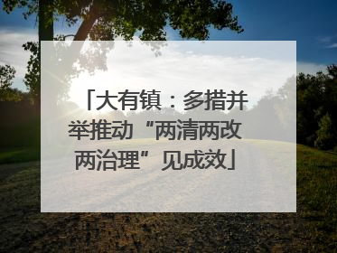 大有镇：多措并举推动“两清两改两治理”见成效