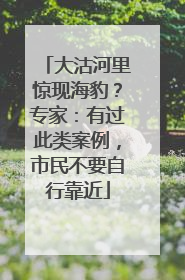大沽河里惊现海豹？专家：有过此类案例，市民不要自行靠近