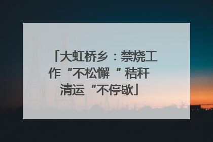 大虹桥乡：禁烧工作“不松懈“ 秸秆清运“不停歇