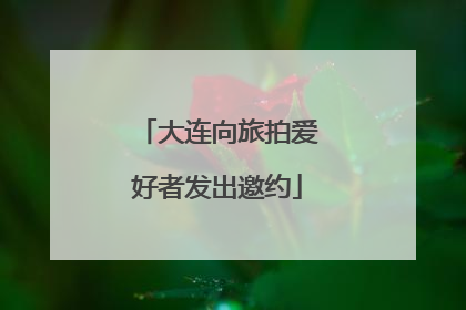 大连向旅拍爱好者发出邀约