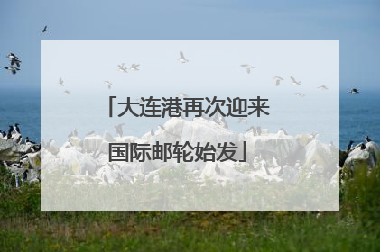 大连港再次迎来国际邮轮始发