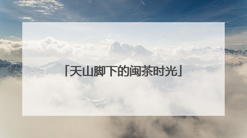 天山脚下的闽茶时光