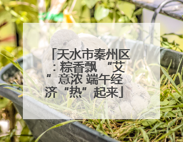 天水市秦州区：粽香飘 “艾”意浓 端午经济“热”起来