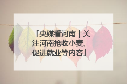 央媒看河南｜关注河南抢收小麦、促进就业等内容
