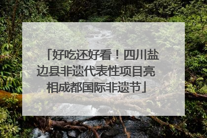 好吃还好看！四川盐边县非遗代表性项目亮相成都国际非遗节