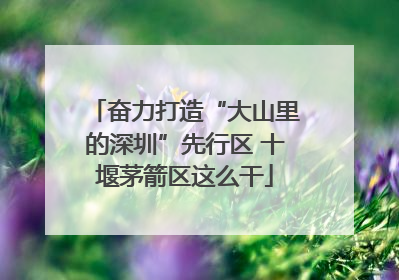 奋力打造“大山里的深圳”先行区 十堰茅箭区这么干