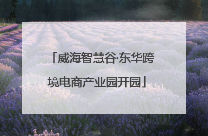 威海智慧谷·东华跨境电商产业园开园