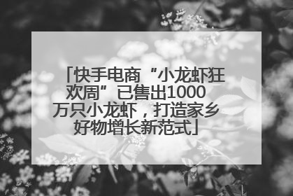 快手电商“小龙虾狂欢周”已售出1000万只小龙虾，打造家乡好物增长新范式
