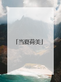 当夏荷美