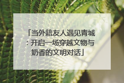 当外籍友人遇见青城：开启一场穿越文物与奶香的文明对话