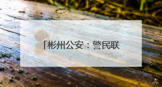 彬州公安：警民联动化赡养纠纷 枫桥经验守护夕阳红
