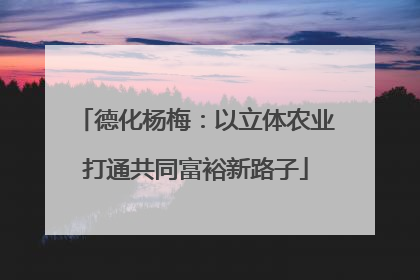 德化杨梅：以立体农业打通共同富裕新路子