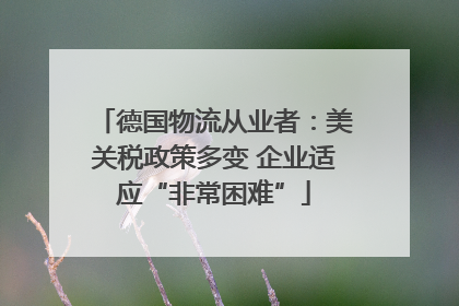 德国物流从业者：美关税政策多变 企业适应“非常困难”