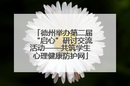 德州举办第二届“启心”研讨交流活动——共筑学生心理健康防护网