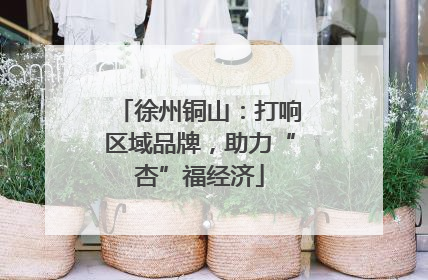 徐州铜山：打响区域品牌，助力“杏”福经济