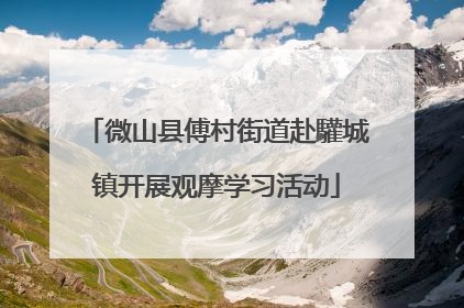 微山县傅村街道赴驩城镇开展观摩学习活动