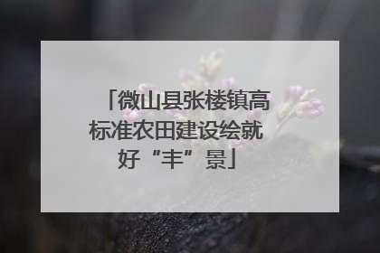 微山县张楼镇高标准农田建设绘就好“丰”景