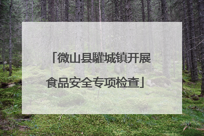 微山县驩城镇开展食品安全专项检查