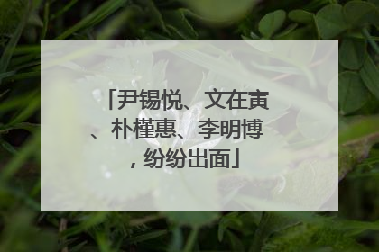 尹锡悦、文在寅、朴槿惠、李明博，纷纷出面