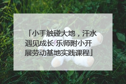 小手触碰大地，汗水遇见成长 乐师附小开展劳动基地实践课程