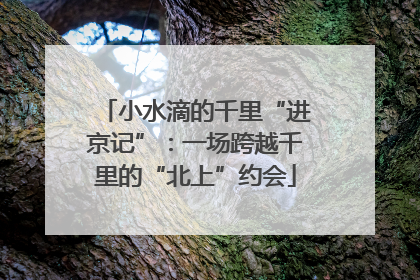 小水滴的千里“进京记”：一场跨越千里的“北上”约会