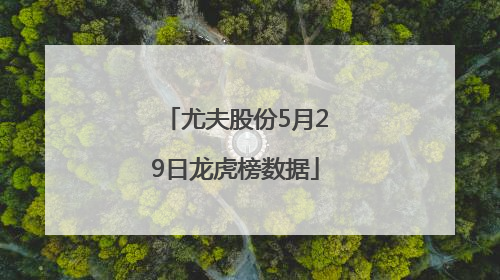 尤夫股份5月29日龙虎榜数据