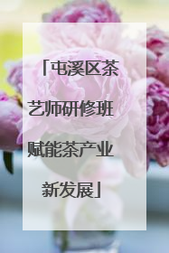 屯溪区茶艺师研修班赋能茶产业新发展