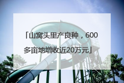 山窝头里产良种，600多亩地增收近20万元
