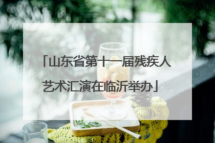 山东省第十一届残疾人艺术汇演在临沂举办