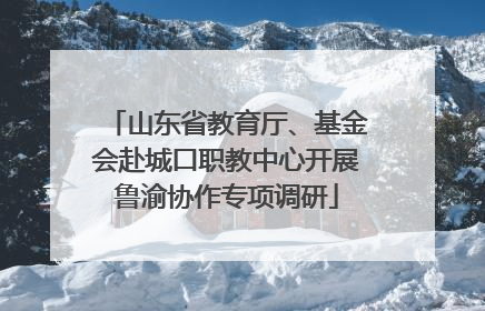 山东省教育厅、基金会赴城口职教中心开展鲁渝协作专项调研