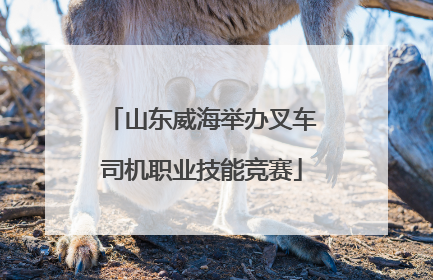 山东威海举办叉车司机职业技能竞赛