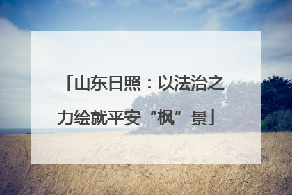 山东日照：以法治之力绘就平安“枫”景
