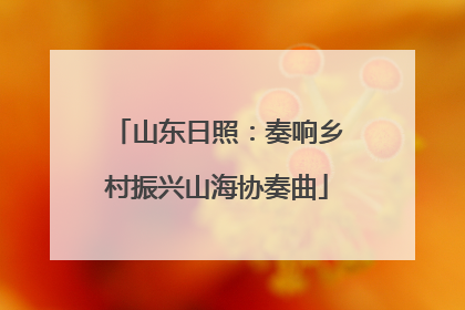 山东日照：奏响乡村振兴山海协奏曲