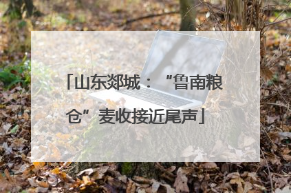 山东郯城：“鲁南粮仓”麦收接近尾声
