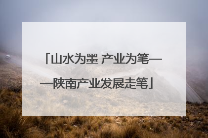 山水为墨 产业为笔——陕南产业发展走笔