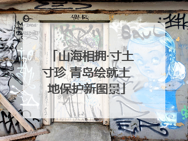 山海相拥·寸土寸珍 青岛绘就土地保护新图景